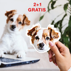 3x Adhesivo personalizado para su mascota